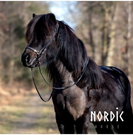 Nordic Horse Remontnosgrimma All Rosegold